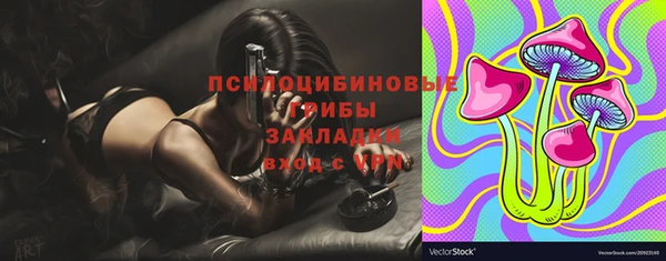 дживик Арсеньев