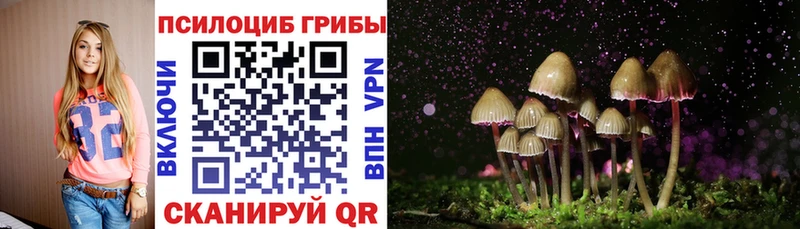 МЕГА рабочий сайт  Балей  Псилоцибиновые грибы Psilocybine cubensis 